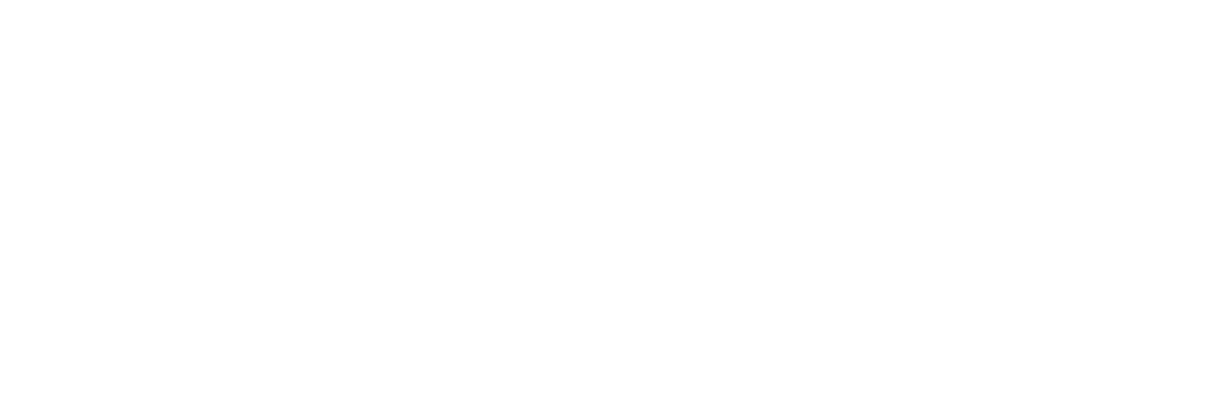 logo 2022 white